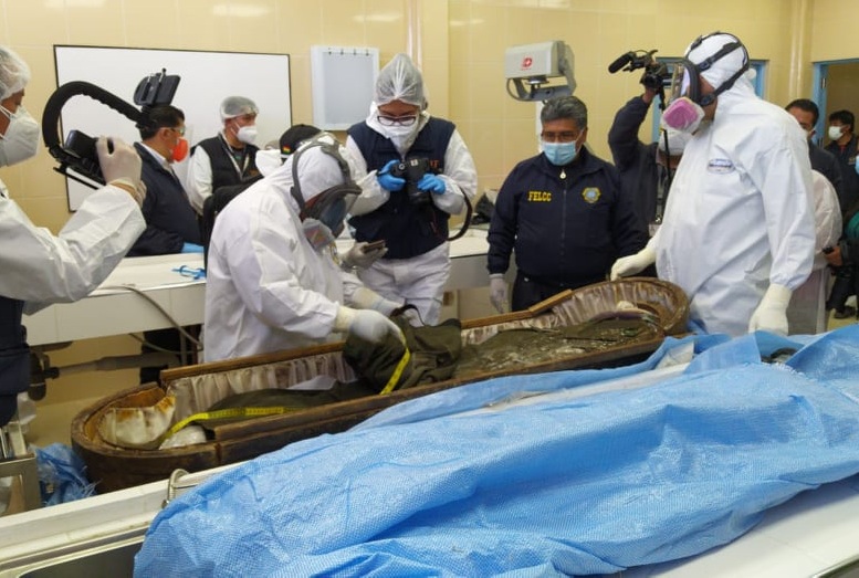 Descomposicion De Un Cadaver En Un Nicho